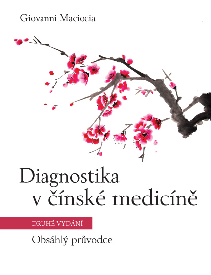 DIAGNOSTIKA V NSK MEDICN OBSHL PRVODCE 2. VYDN