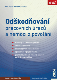 Odškodňování pracovních úrazů a nemocí z povolání