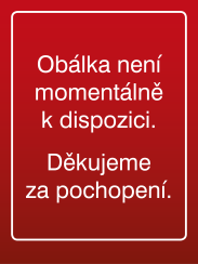 Mzdová účetní