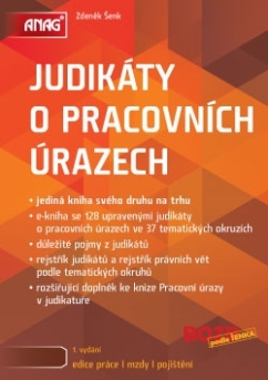 Judikáty o pracovních úrazech (PDF/EPUB)