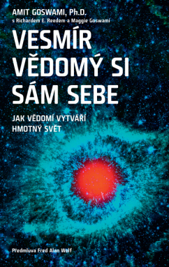 Vesmír vědomý si sám sebe – Jak vědomí vytváří hmotný svět