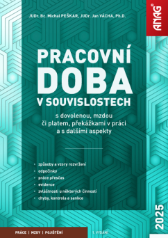 Pracovní doba v souvislostech s dovolenou, mzdou či platem, překážkami v práci a s dalšími aspekty 2025